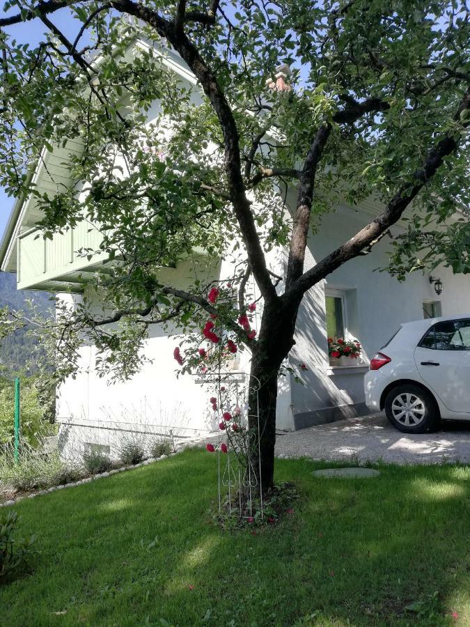Apartma Neza 블레드 외부 사진